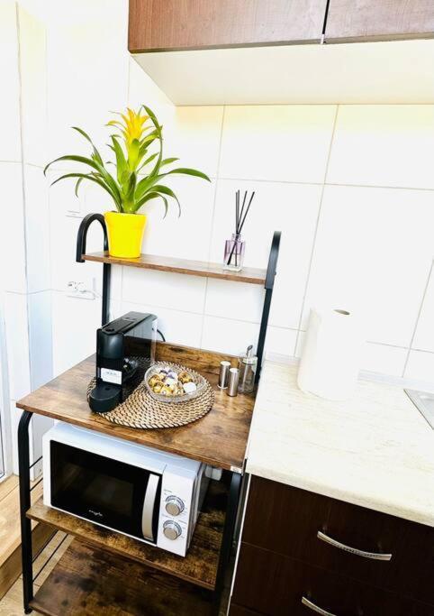 Cozy 1Br Apartment•Central•Quiet Бухарест Екстер'єр фото